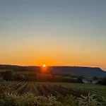 Danube Hills 319