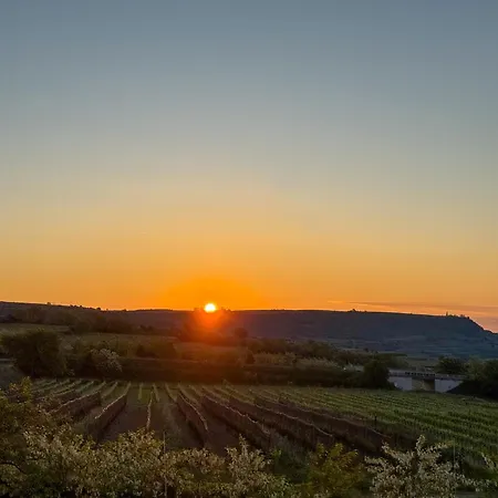 Danube Hills 319