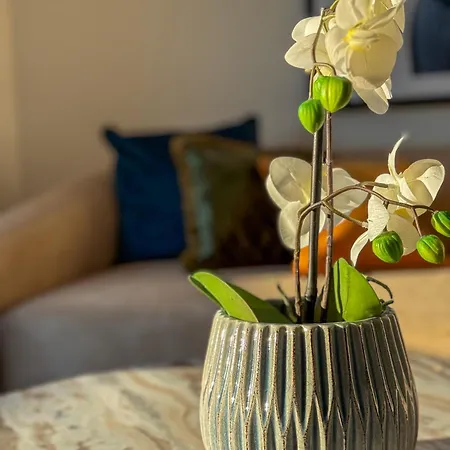 Danube Hills 319 Krems an der Donau