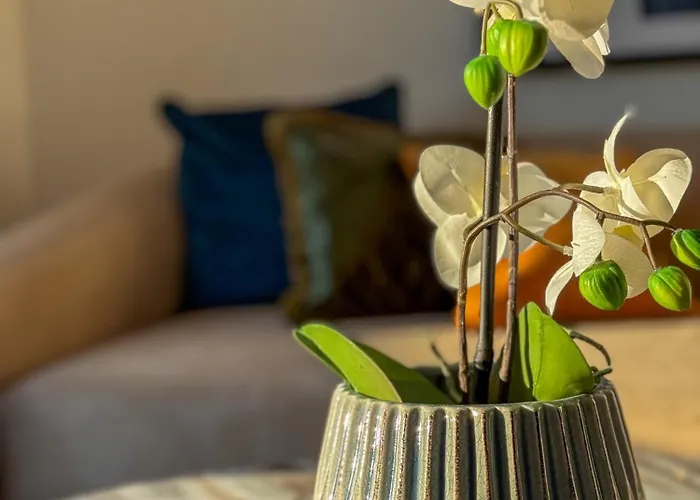 Danube Hills 319 Krems an der Donau