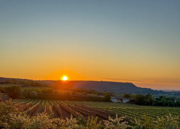 Lejlighed Danube Hills 319