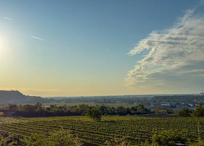 Danube Hills 319 Lejlighed *